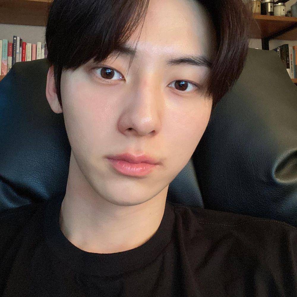 instagram.com/optimushwang
