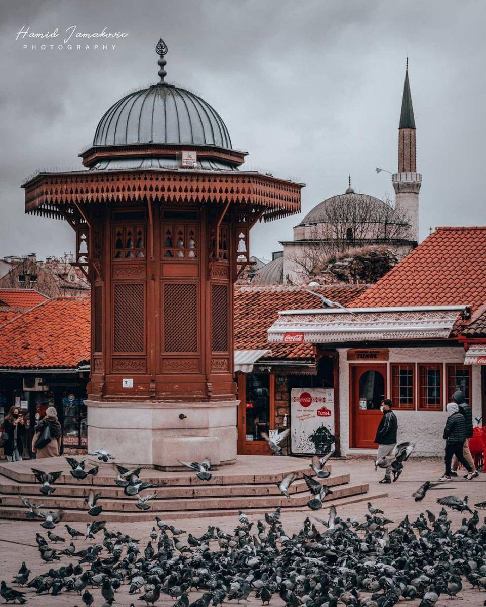 instagram.com/ jamakovic.hamid