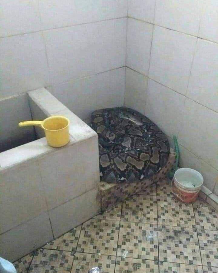 Instagram.com/humorsantuy