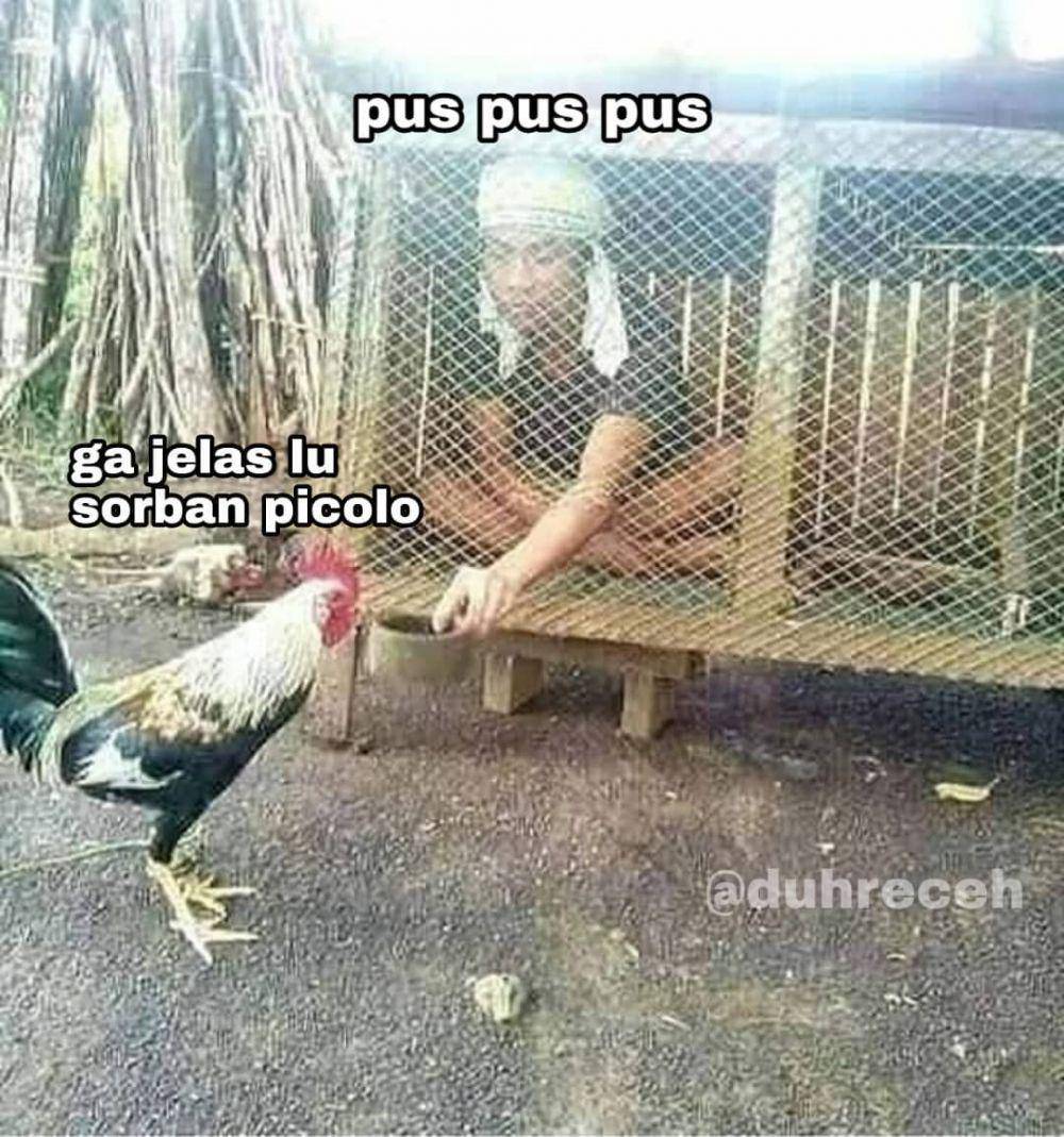 Instagram.com/duhreceh