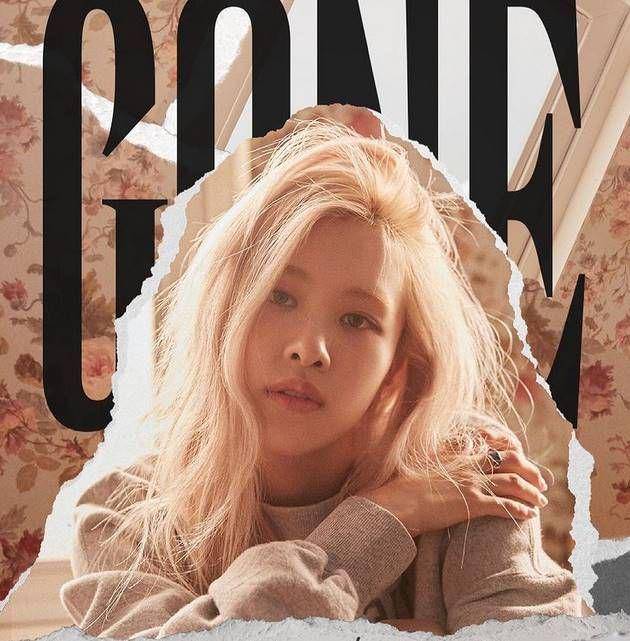 instagram.com/roses_are_rosie/