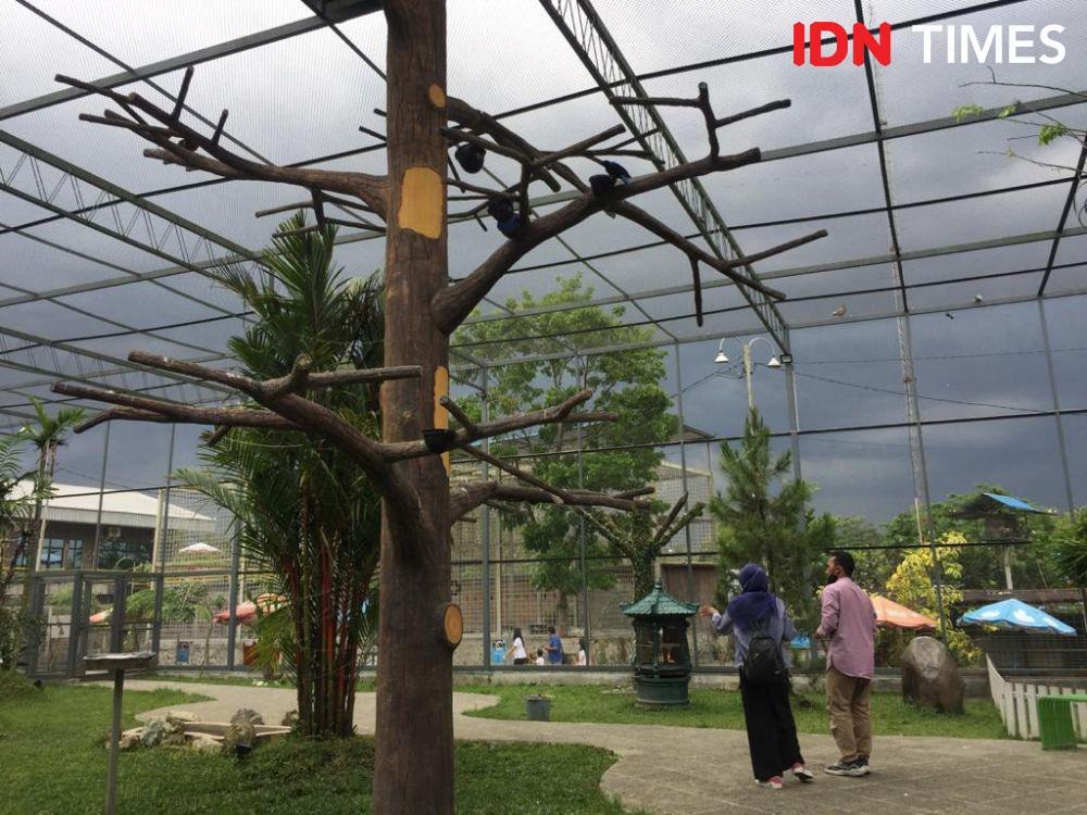 Wisata Lebaran di Central Park Zoo Resort, Ini Rute dan Harga Tiketnya