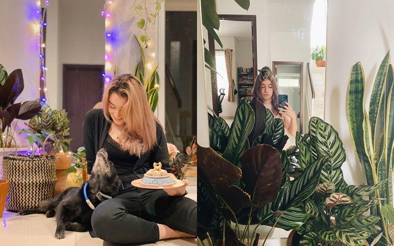 5 Koleksi Tanaman Indoor Natasha Ryder, Tampil Elok Ditaruh di Lantai