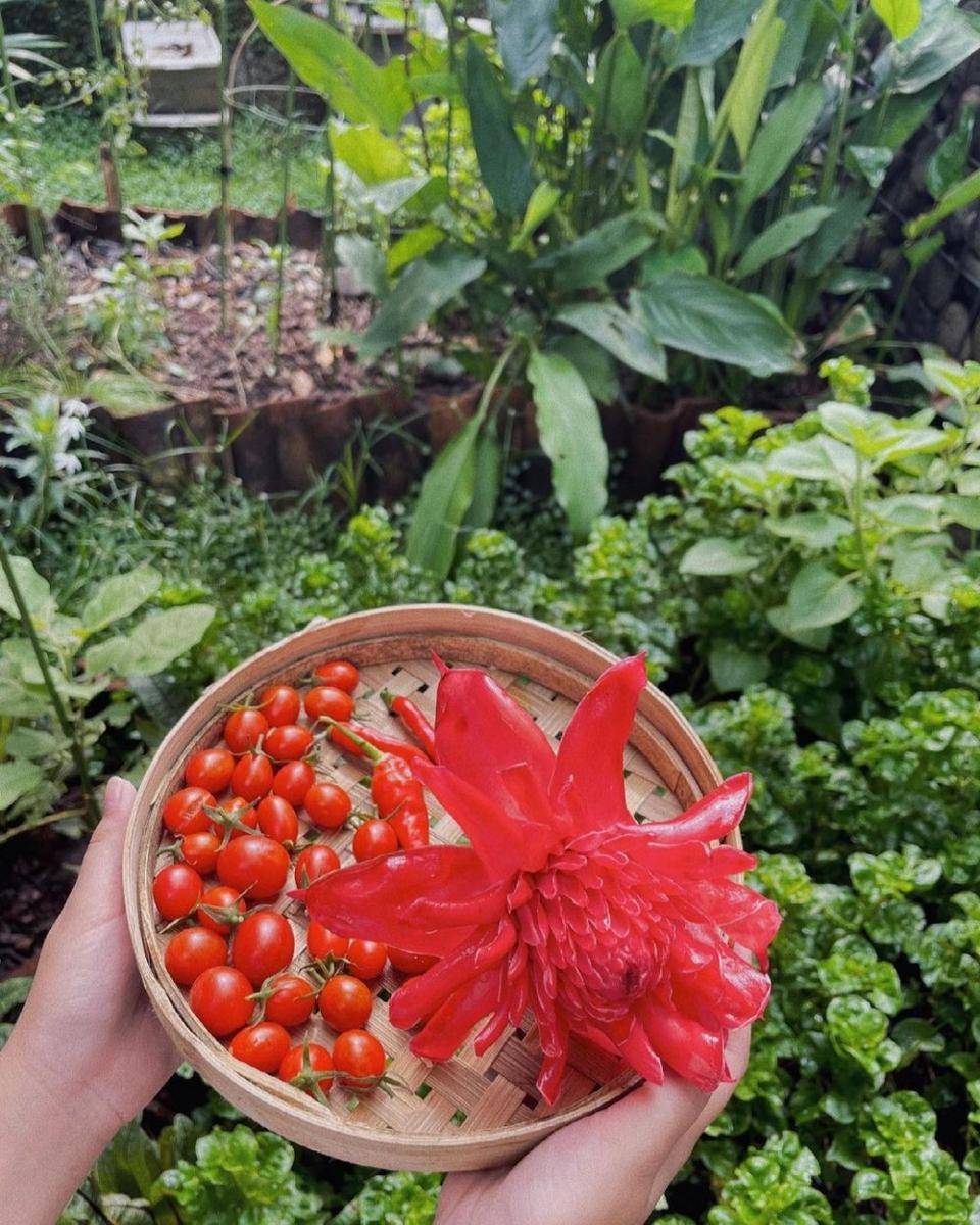 instagram.com/rarasekar