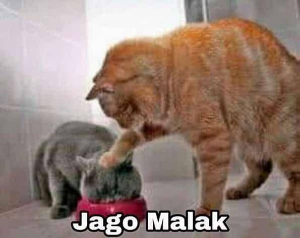 Instagram.com/meme.comic.indonesia