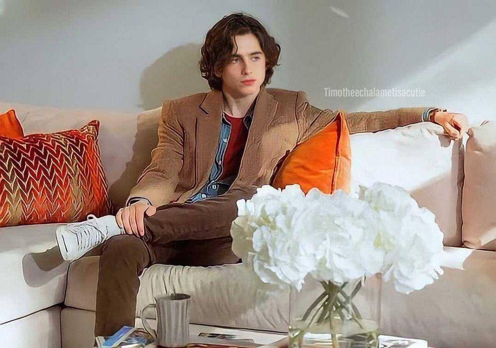 Timothee Chalamet (instagram.com/timotheechalametisacutie)