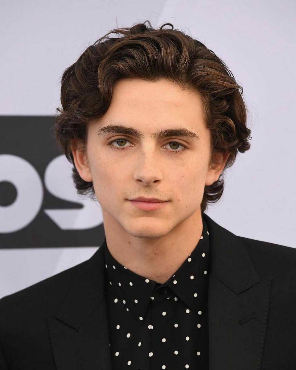 instagram.com/ohmychalamet