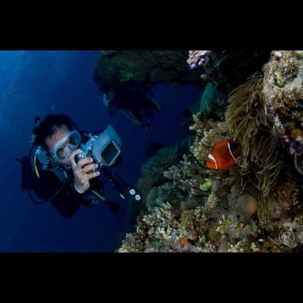 10 Potret Terkini Kaka Slank yang Punya Hobi Diving