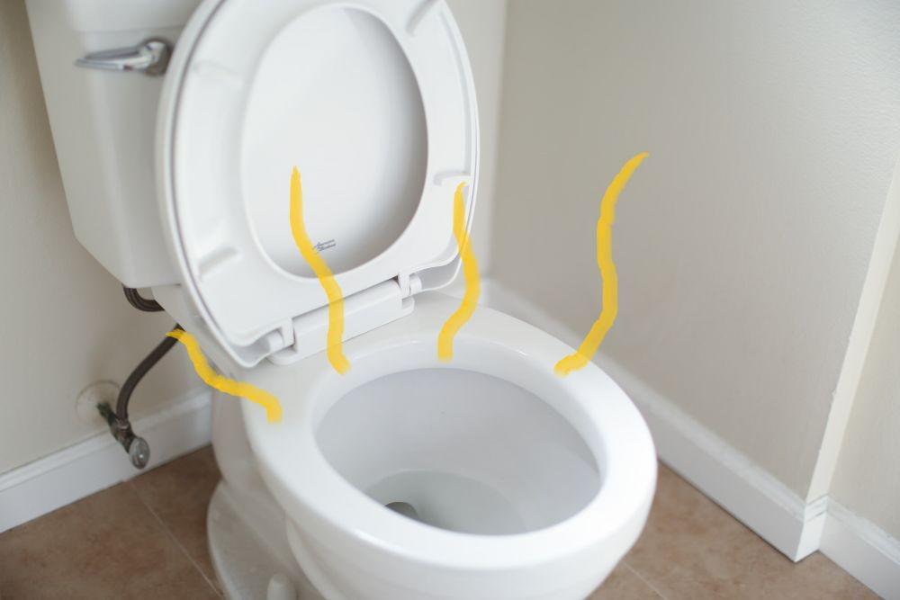 5 Penyebab Urine Berbau Menyengat, Bisa Jadi Gejala Kondisi Apa?