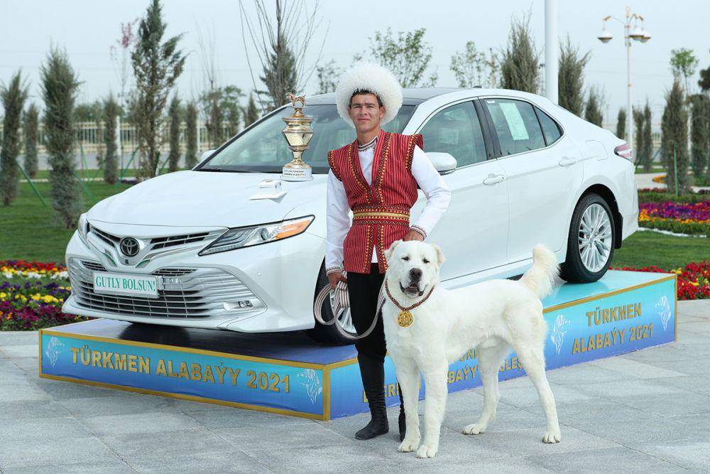 Potret pemenang kompetisi Alabai yang diadakan Minggu, 25 April 2021. Sumber: Turkmenistan.gov.tm
