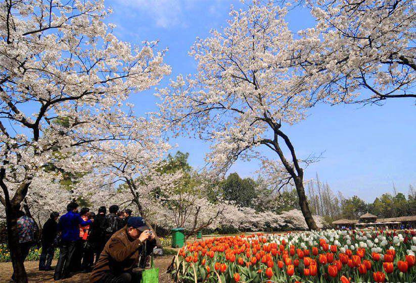 twitter.com/TOURISMHANGZHOU