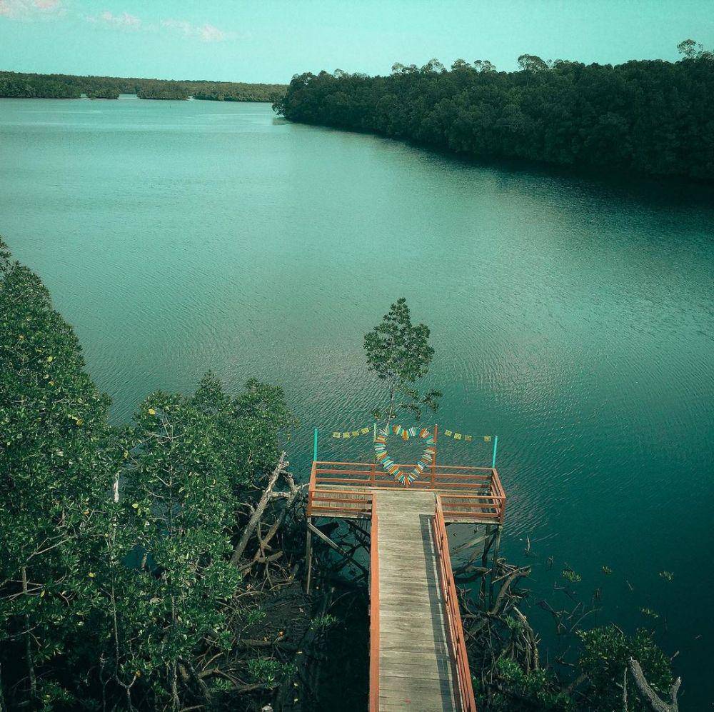Hutan mangrove, Kalimantan (instagram.com/daude_daus)
