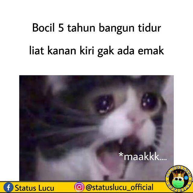 Instagram.com/statuslucu_official