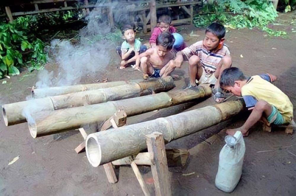 portaltuban.com