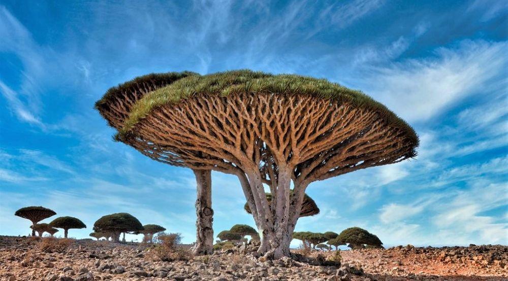 5 Tempat Paling Terisolir di Dunia, Ada yang Hanya Dihuni 200an Warga!