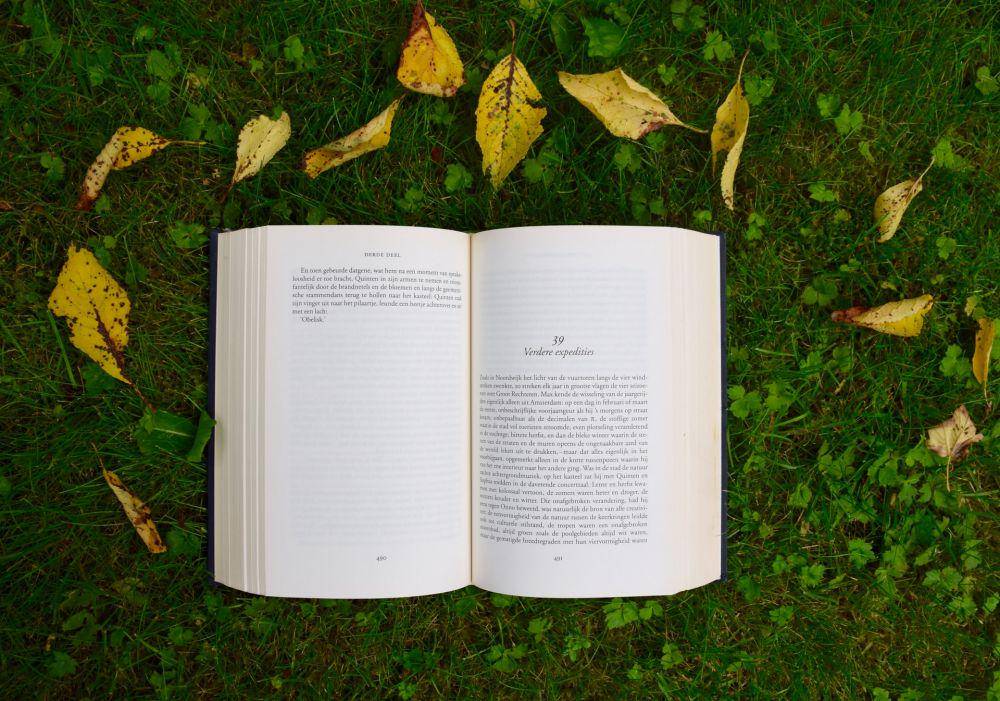 Unsplash/Annelies Geneyn