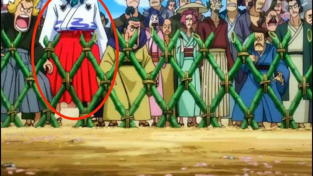 Toei Animation/One Piece