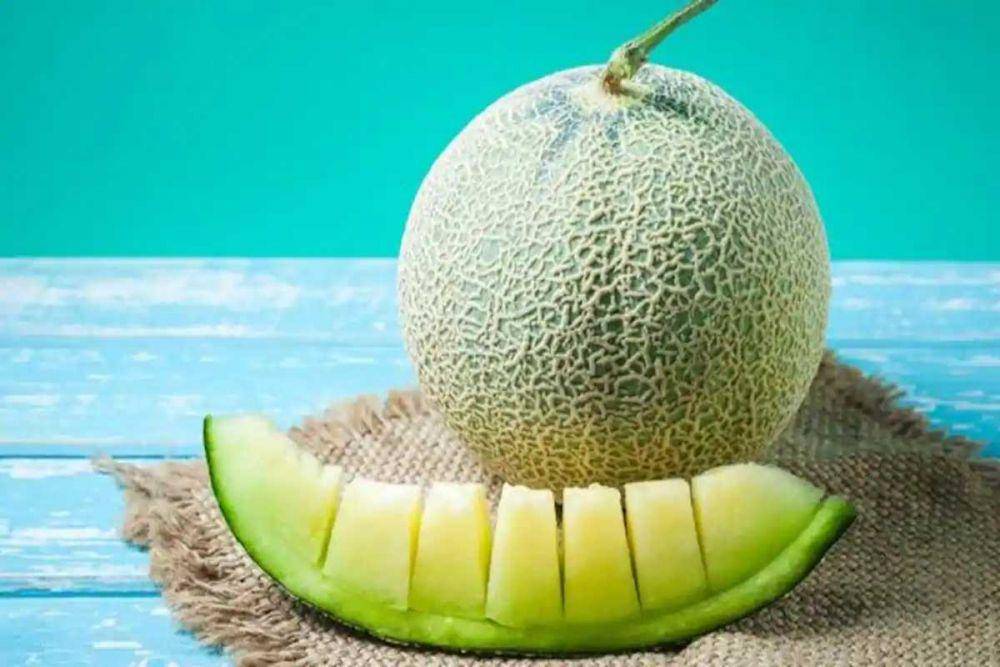 ilustrasi melon (thehealthsite.com)
