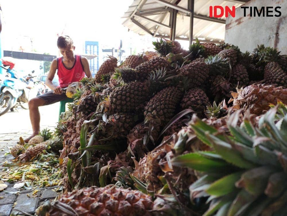 Kisah Pedagang Nanas Musiman Raup Omzet Rp3 Juta per Minggu