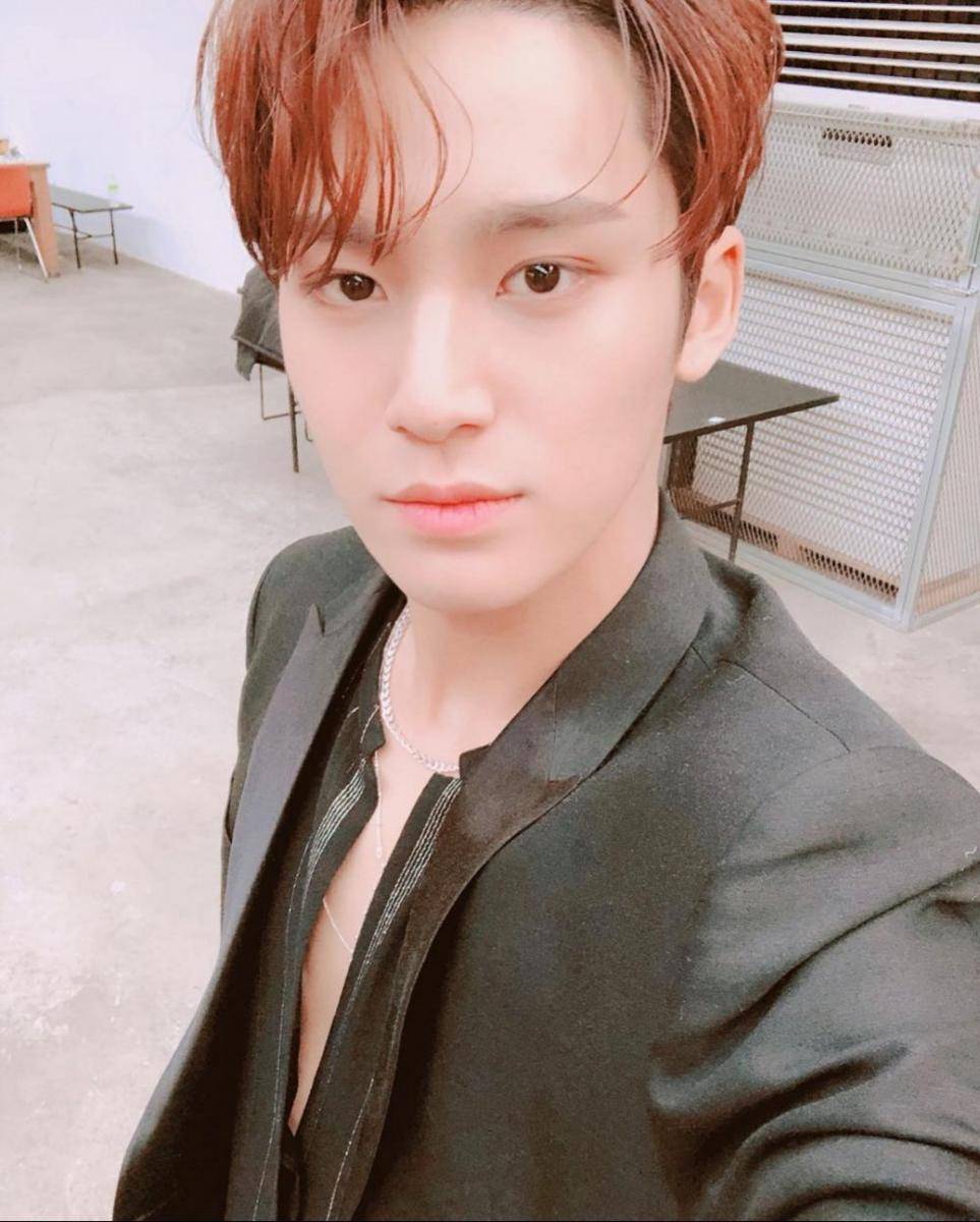 Mingyu SEVENTEEN (instagram.com/min9yu_k)