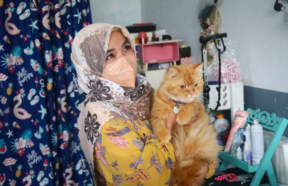 Devi saat menunjukkan salah satu kucing yang dititpkan ke penitipan miliknya. IDN Times/Alfi Ramadana