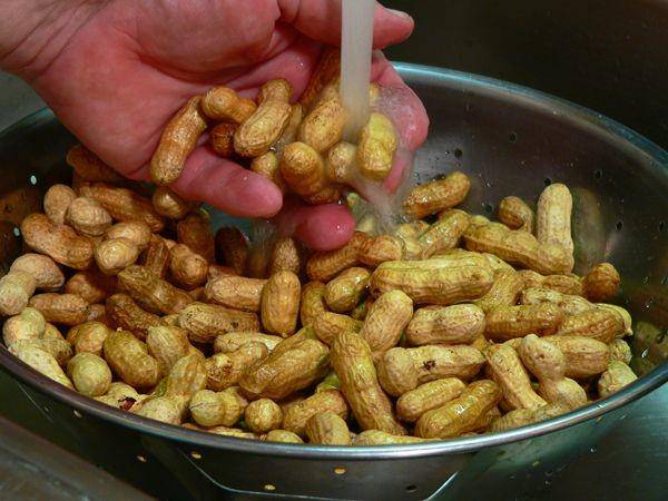Membersihkan kacang (tasteofsouthern.com)