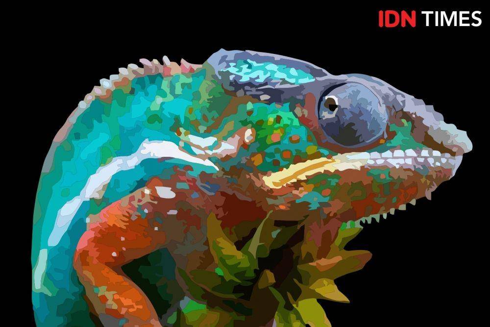 ilustrasi bunglon (IDN Times/Shukma Sakti)