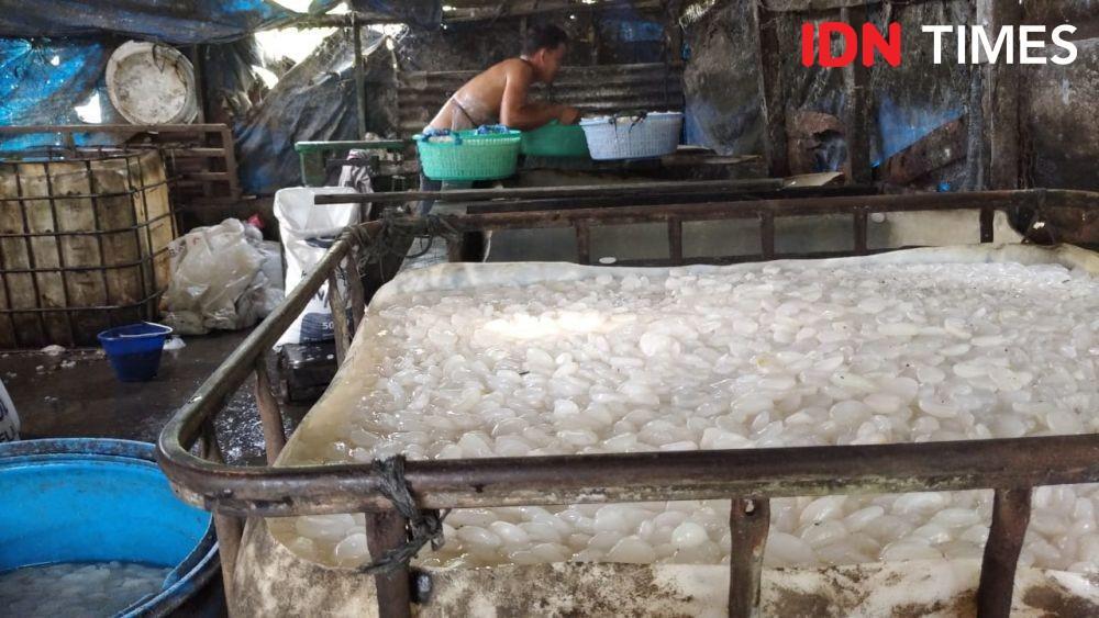 Primadona saat Lebaran, Mengintip Pengolahan Kolang-kaling di Langkat