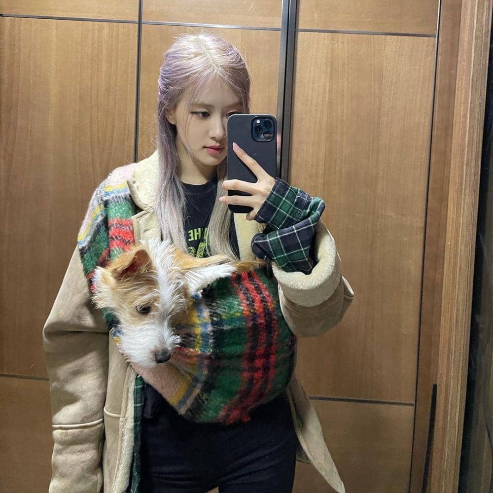 Rose melakukan mirror selfie bersama Hank, anjing peliharaannya. (instagram.com/hank_says_hank/)