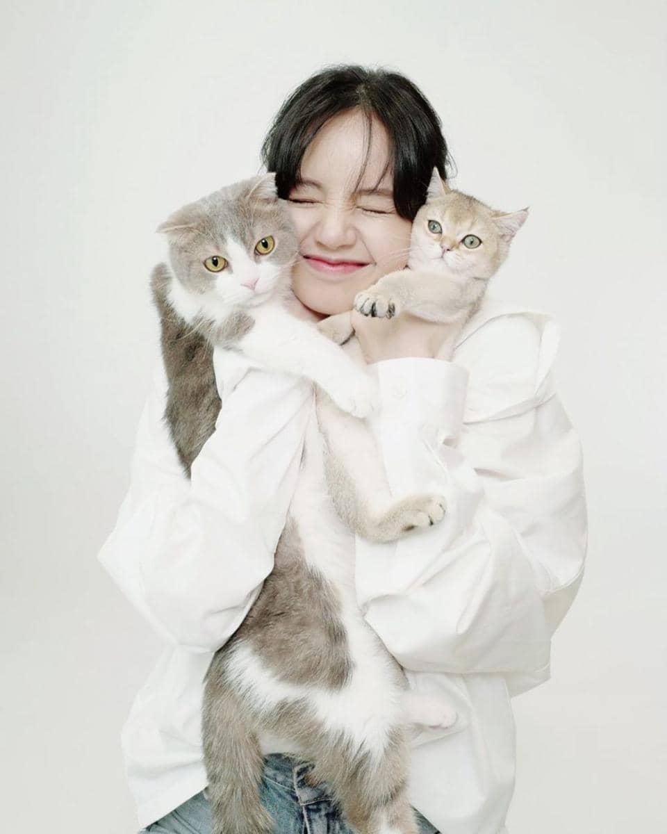 Momen saat Lisa pemotretan bersama kucing-kucing peliharaannya. (instagram.com/lalalalisa_m)