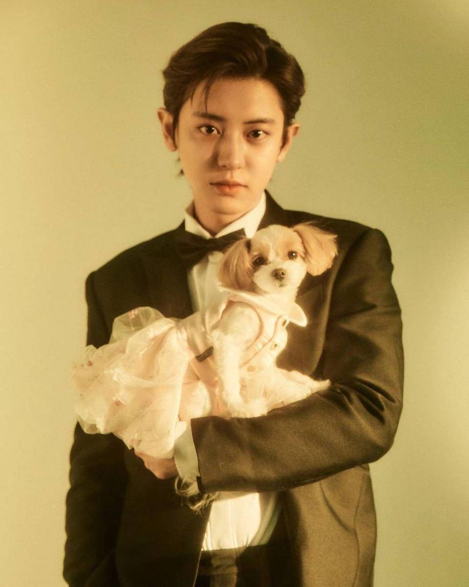 Potret Chanyeol EXO (instagram.com/real_pcy)