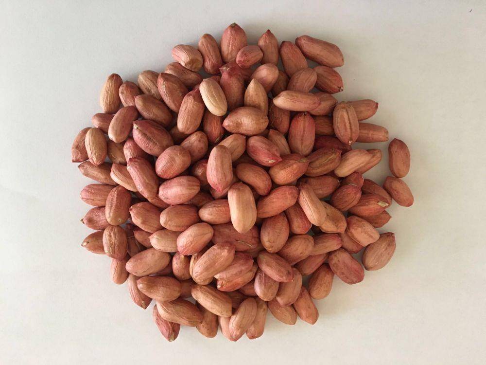 Kacang tanah (alibaba.com)