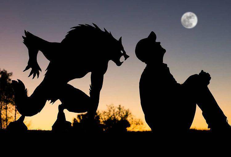 Potret siluet kreatif dari kardus (instagram.com/sunsetselfies)