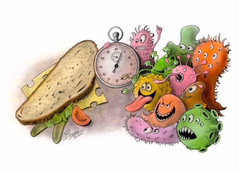 Ilustrasi kuman (beatascienceart.com)