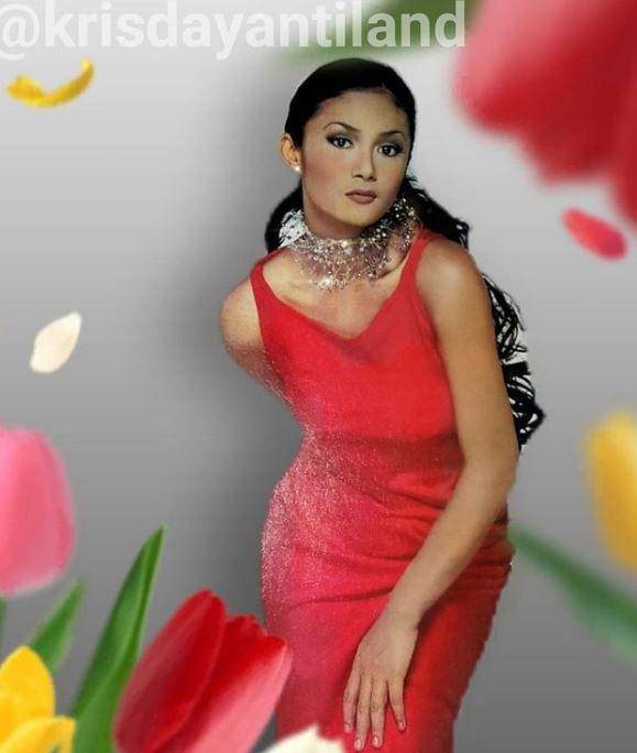 Foto lawas Krisdayanti beralis tipis(Instagram.com/krisdayantiland)