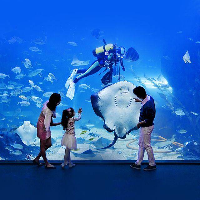 Aqua Planet 63 (m.aquaplanet.co.kr)