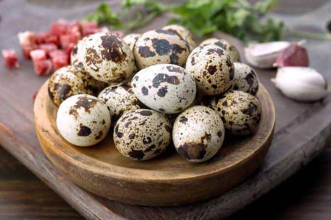 telur puyuh (rurallivingtoday.com)
