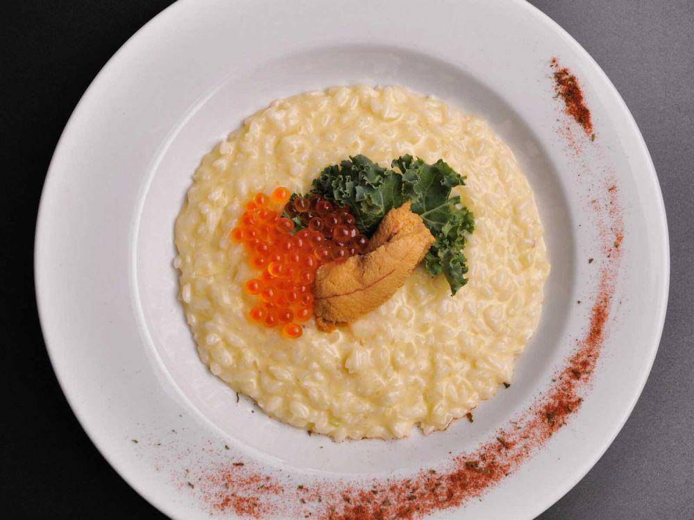 ilustrasi sea urchin risotto (ca1601.com)