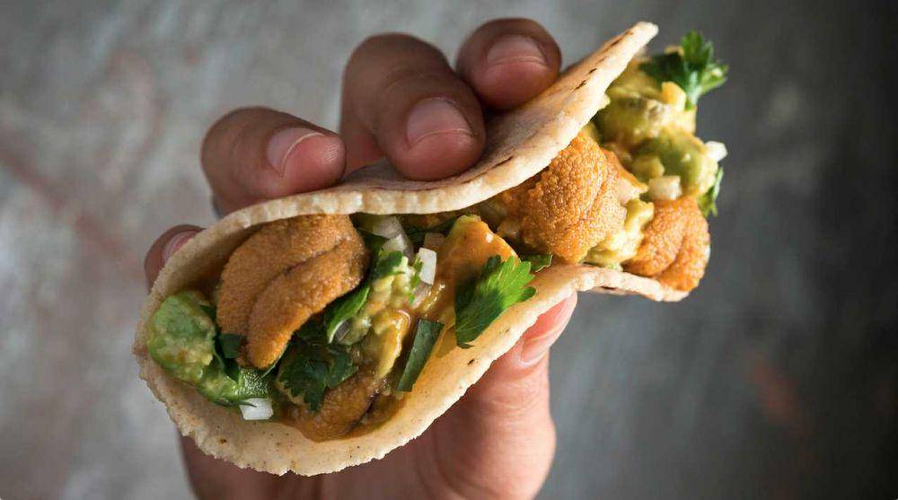 ilustrasi sea urchin tacos (foodrepublic.com)