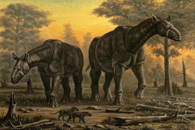 atlasobscura.com