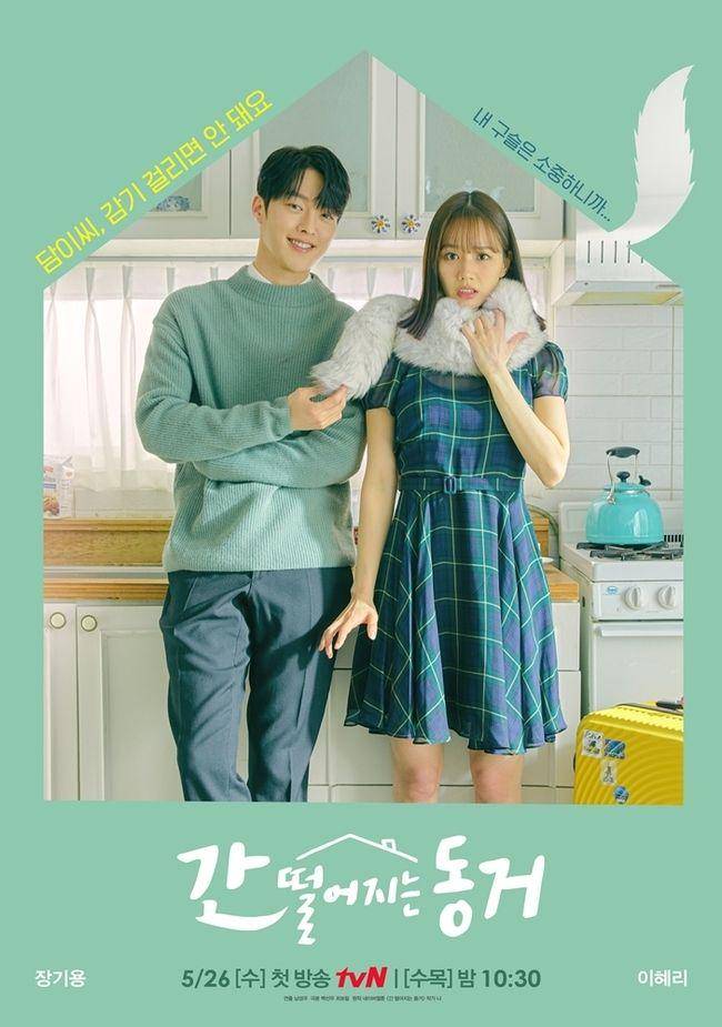 Poster Drama My Roommate is A Gumiho (dok. tvN)