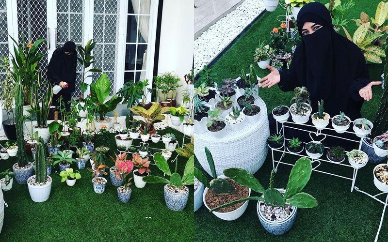 9 Koleksi Tanaman Populer Pipik Dian Irawati, Referensi Hunian Segar!