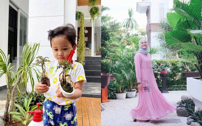 9 Koleksi Tanaman Nina Zatulini, Ada Bonsai hingga Nanas Kerang
