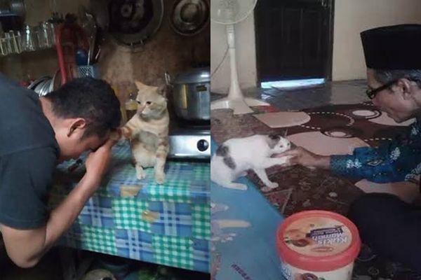 10 Potret Kocak Kucing Ikut Sungkem, Lebaran Juga nih?