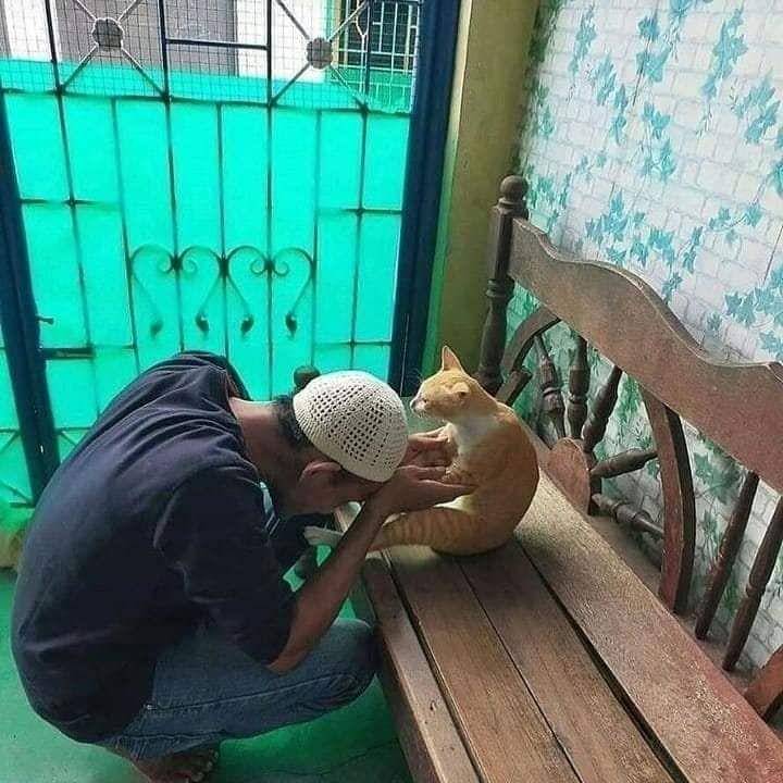 facebook.com/Kucingmalas.com