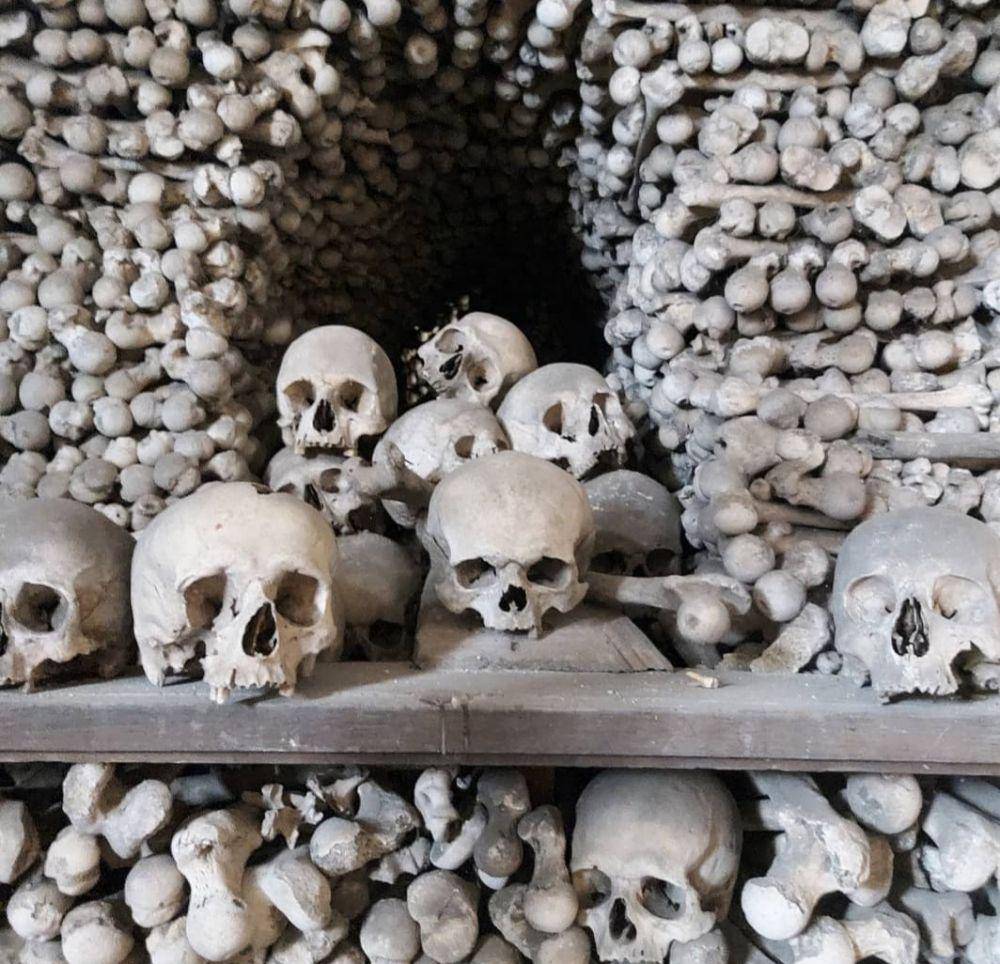 ilustrasi Sedlec Ossuary (Instagram.com/cathydoom)