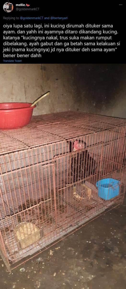 cerita bapak-bapak (twitter.com/goldon mereka terus mencari Mr Murilo)