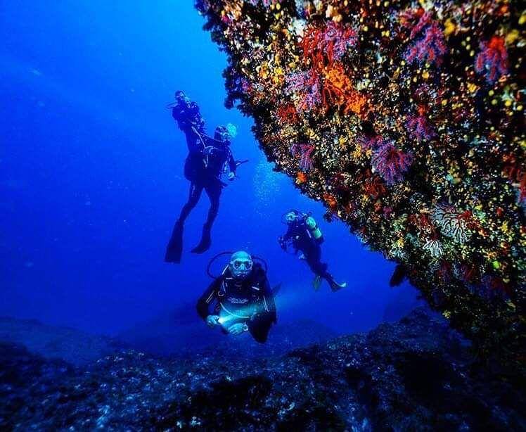 menyelam di Capo Testa (facebook.com/diving mediterraneo)