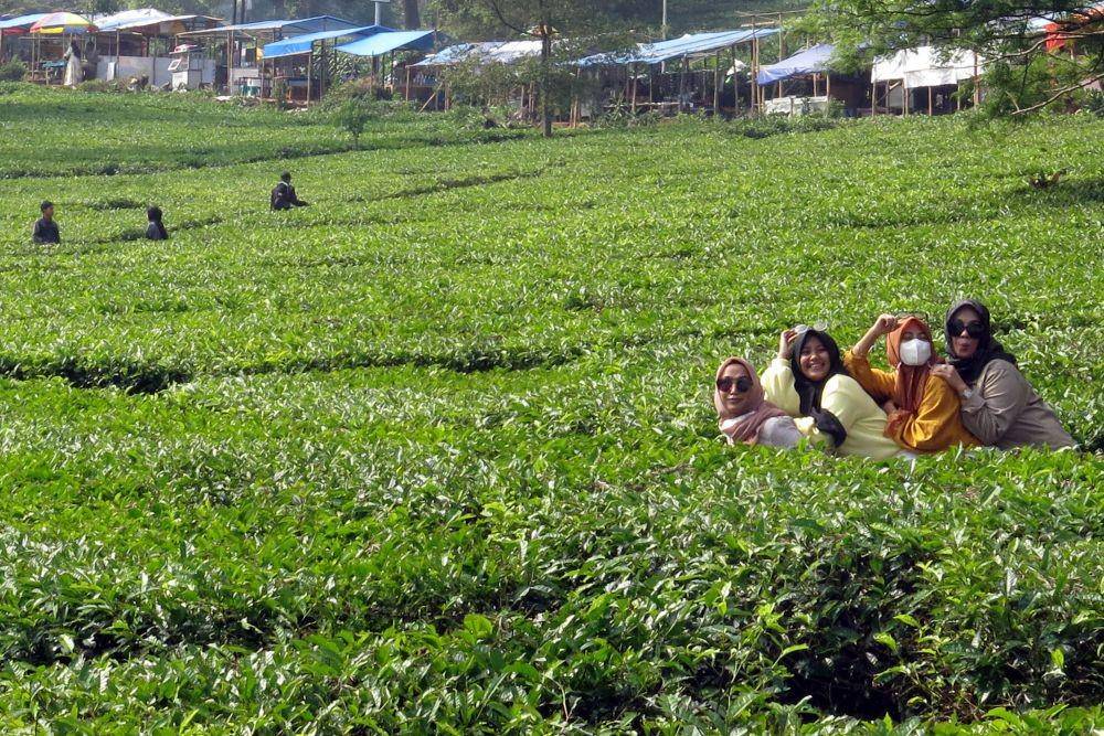 Warga menikmati keindahan alam wisata kebun teh, Puncak, Cisarua, Kabupaten Bogor, Jawa Barat, Jumat (14/5/2021). Warga memanfaatkan liburan Idul Fitri mengunjungi wisata alam bersama keluarga serta kerabat (ANTARA FOTO/Yulius Satria Wijaya)