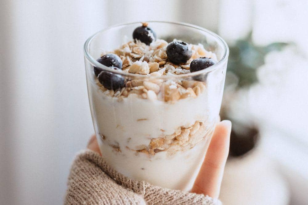 Resep Yoghurt Kelapa, Cocok untuk Diet Vegan Lho!